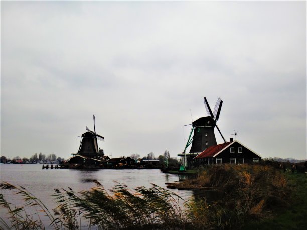 典型的荷兰风车和壮观多彩的荷兰乡村景色图片下载