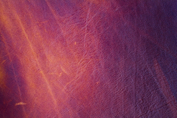 真皮纹理背景。图片下载