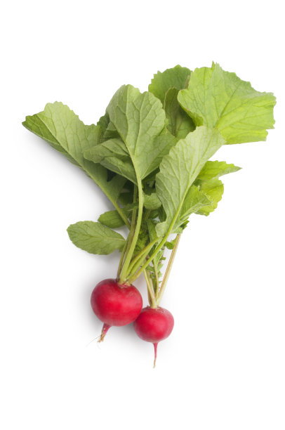 新鲜的萝卜图片下载