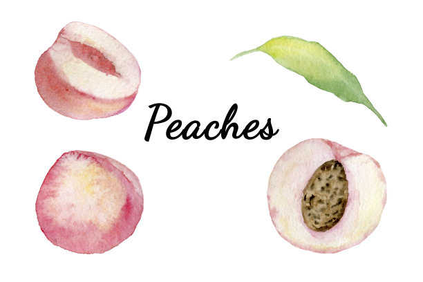 软水彩手绘桃子素材图片