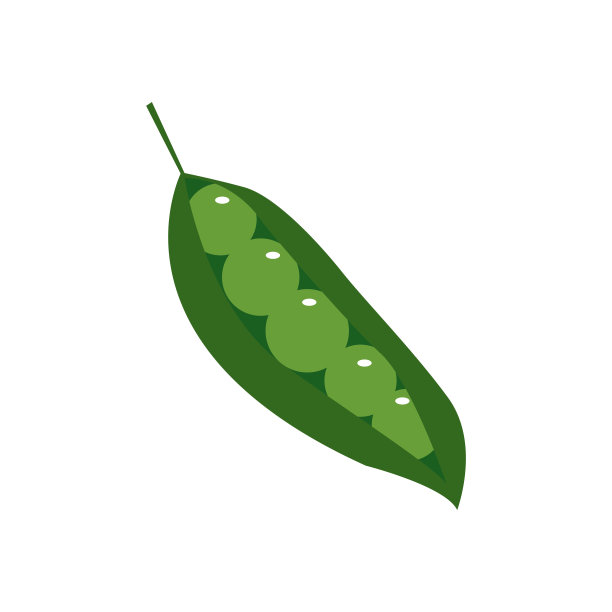 豌豆矢量设计模板插图图片下载