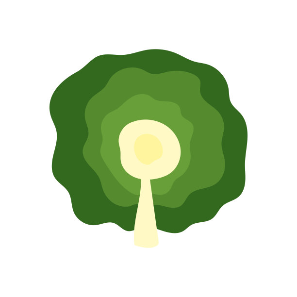 卷心菜矢量设计模板插图图片下载