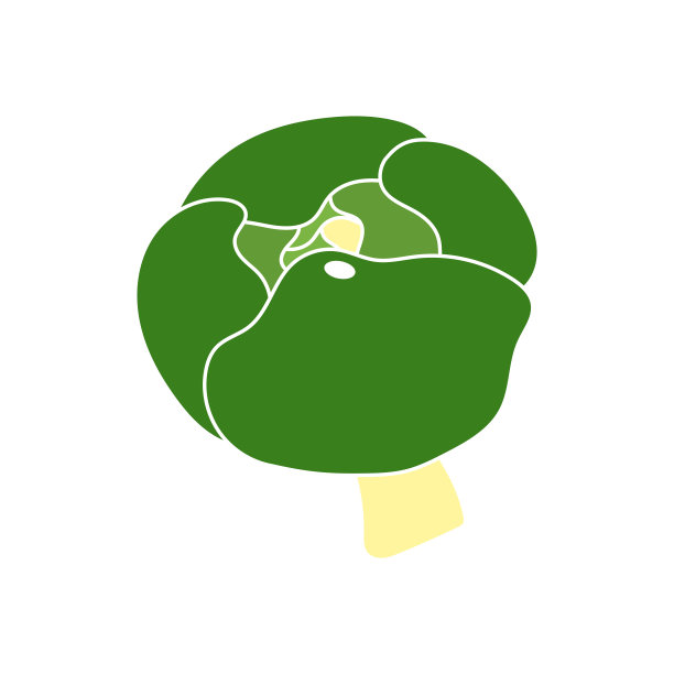 卷心菜矢量设计模板插图图片下载