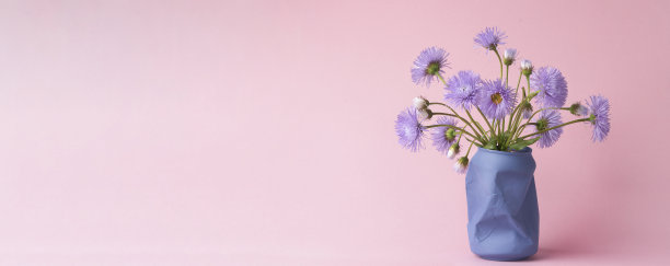 鲜艳的紫色野花雏菊在粉红色的背景上。夏天简单，春天花束。垂直照片，复制空间图片下载