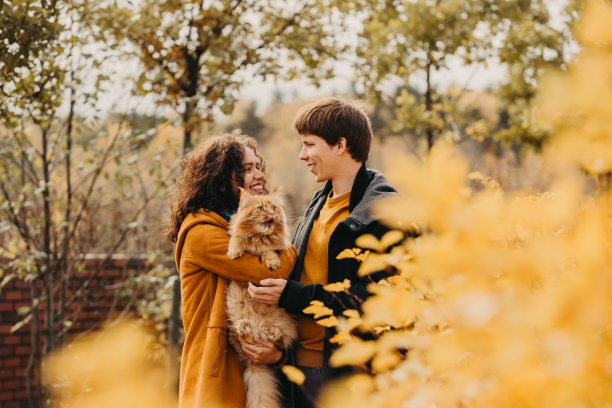 一对年轻夫妇和一只红色的猫在一个秋天的公园的背景上。图片下载