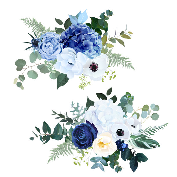 经典海军蓝玫瑰，白色绣球花，毛茛，银莲花，深色蓟花图片下载