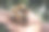 两个小负鼠在一个男人的手掌上。哥斯达黎加的利蒙港。图片下载