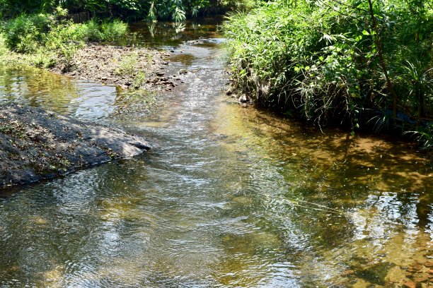 美山圣地的一条小溪毁了。图片下载