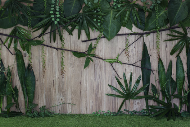 Safari丛林背景图片下载