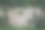 Safari丛林背景图片下载