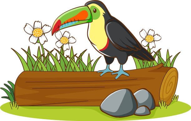 日志上孤立的图片巨嘴鸟图片下载