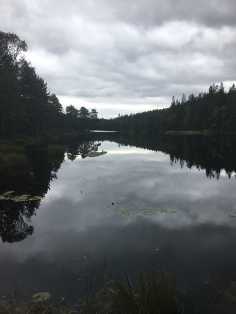 瑞典达尔斯兰的一个小湖图片下载