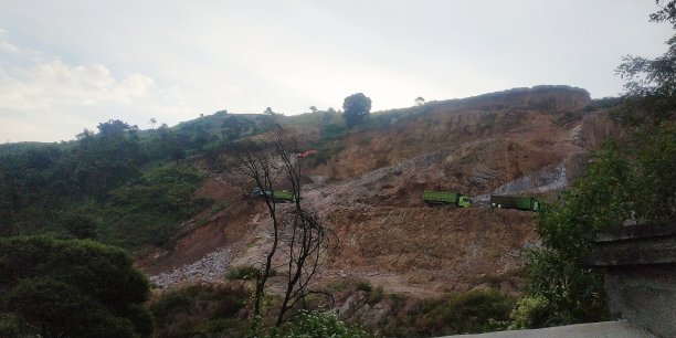 森林破坏图片下载