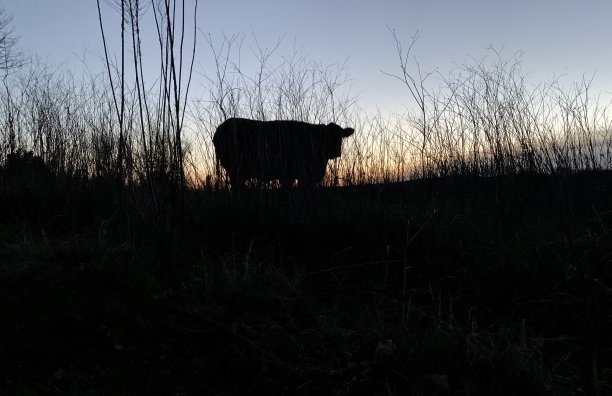 冬天的农场图片下载