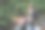 一个年轻的女人牵着她的手走进了树林图片下载