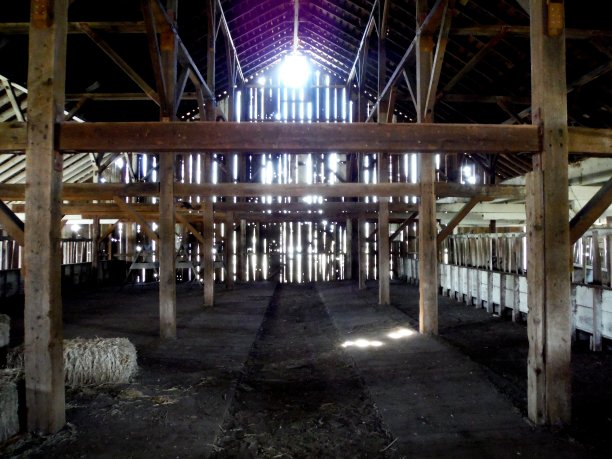 小仓里的海图片下载