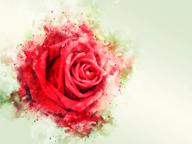 抽象五彩形状上的红玫瑰花水彩插画背景。图片下载