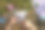 制作毛毡鼠标，2020年的象征。新年快乐。用自己的双手缝制玩具。儿童DIY概念。假日的手工艺品。步骤2。裁剪玩具的所有细节。图片下载