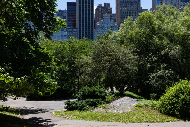 春天的纽约中央公园，背景是绿树和摩天大楼图片下载