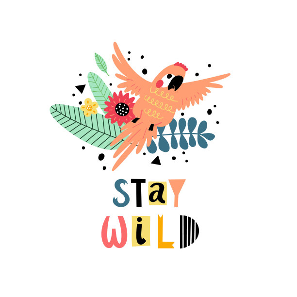 矢量背景鹦鹉和文本图片下载