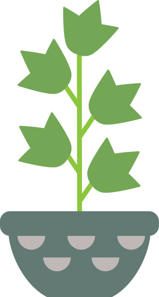 白色背景的盆栽室内植物图片下载