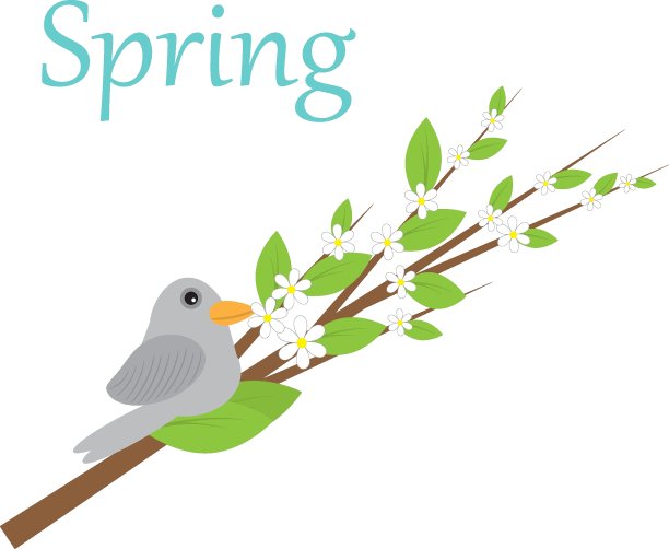 鸟儿在树枝上。春天。美丽的概念。概念设计。绿叶矢量墙纸。矢量插图。图片下载