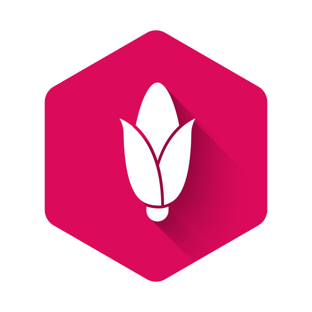 白色玉米图标，带长阴影。粉色六边形按钮。矢量图图片下载