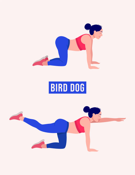 女性健身锻炼、有氧运动，矢量图图片下载