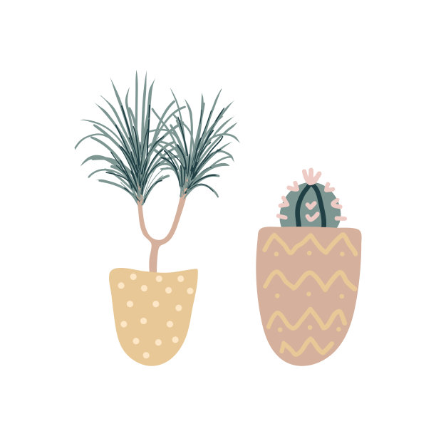 白色背景上孤立的装饰室内植物集合。一套美丽自然的家居装饰品。图片下载