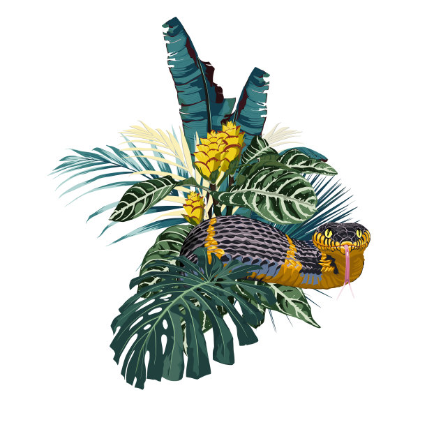 优雅的花卉和动物园组成图片下载