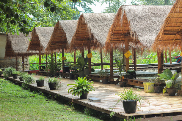 度假村的海滨小屋图片下载