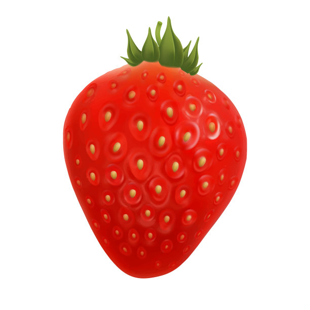 草莓农业农场美味的浆果向量图片下载