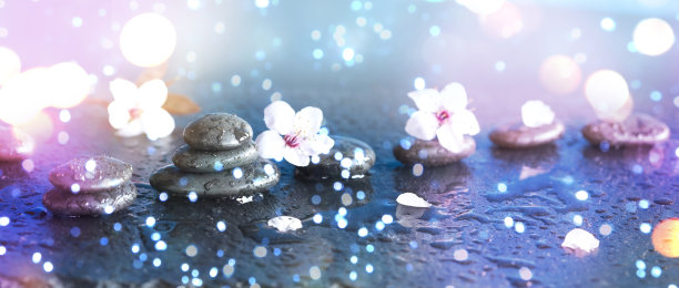 禅宗的安排图片下载