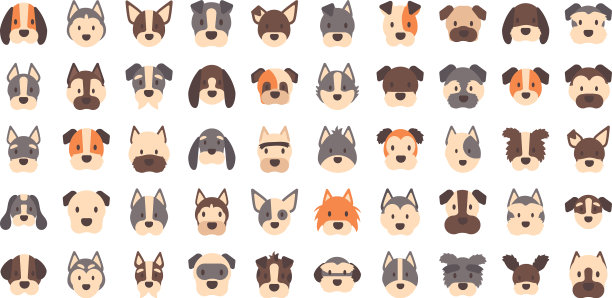 设置图标面对不同品种的狗图片下载