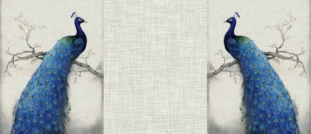 3D框架三件式拼贴画，墙上绘有彩色孔雀、鲜花和蝴蝶，用于室内装饰图片下载