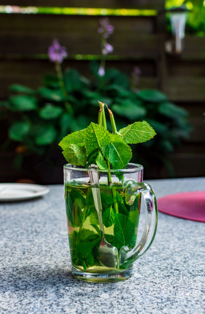 一杯薄荷茶图片下载