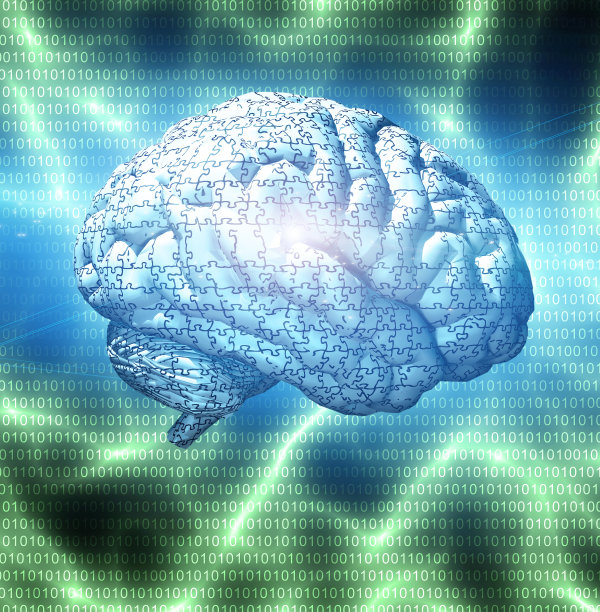 大脑之谜图片下载