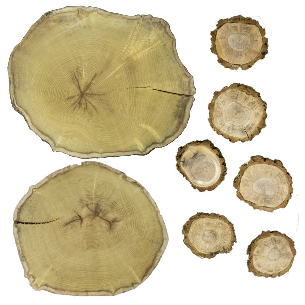 木片，年轮，树干横截面，原木插图图片下载