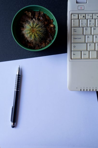 垂直照片的办公桌与笔记本电脑，笔，纸和仙人掌植物与复印空间。家庭办公室的概念。图片下载