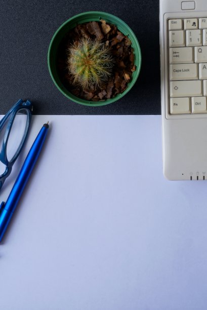 垂直照片的办公桌与笔记本电脑，眼镜，笔，纸和仙人掌植物与复印空间。家庭办公室的概念。图片下载