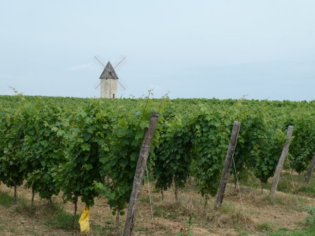 遥远的风车图片下载