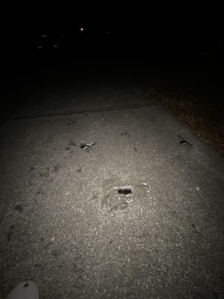 小比利牛斯和风景图片下载