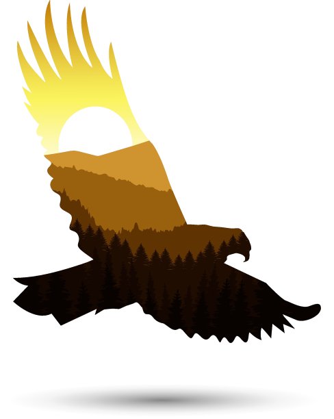 轮廓的鹰图片下载