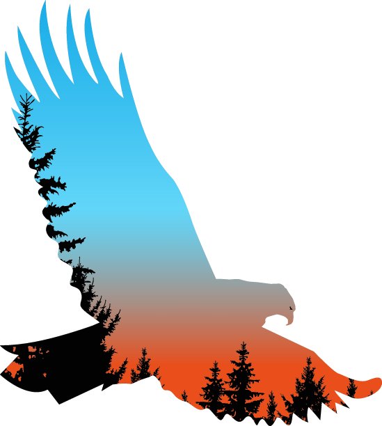 鹰的剪影图片下载