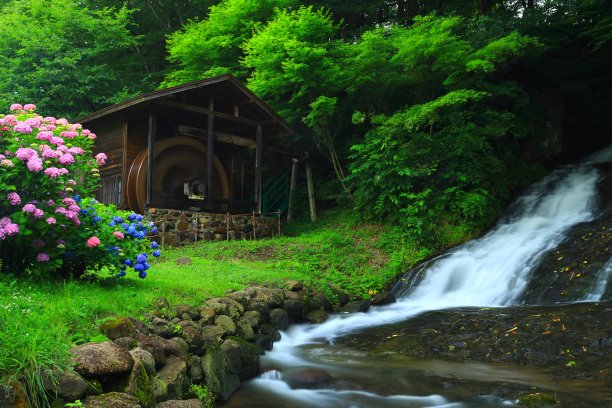 水磨和绣球花图片下载