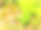 水彩绘画。公园区域的水彩画景观。公园景观，岩石上长满了苔藓，蕨类在春日。数字绘画插图。图片下载