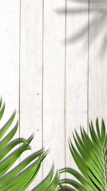 木桌背景上的棕榈叶图片下载