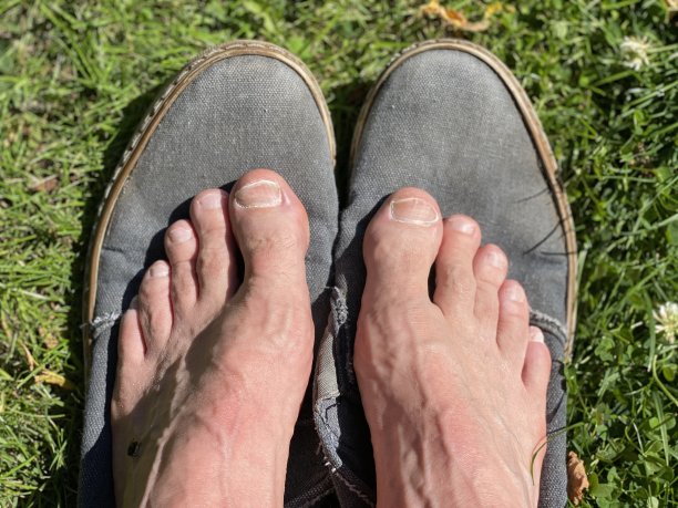 结果显示修脚图片下载