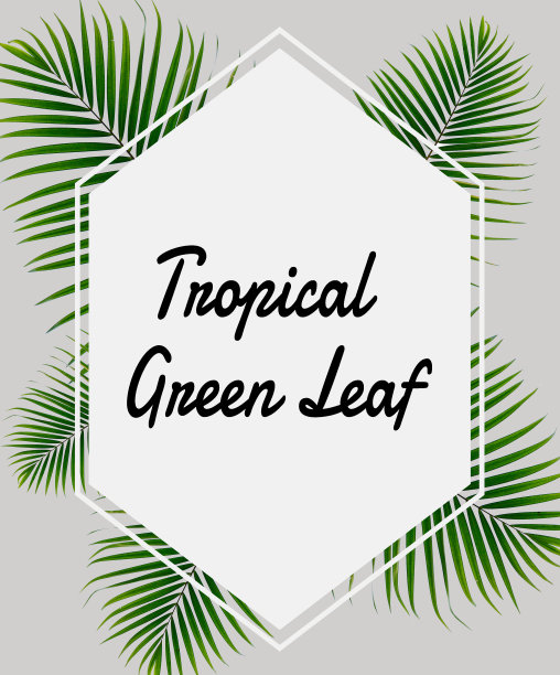 热带绿叶背景图片下载