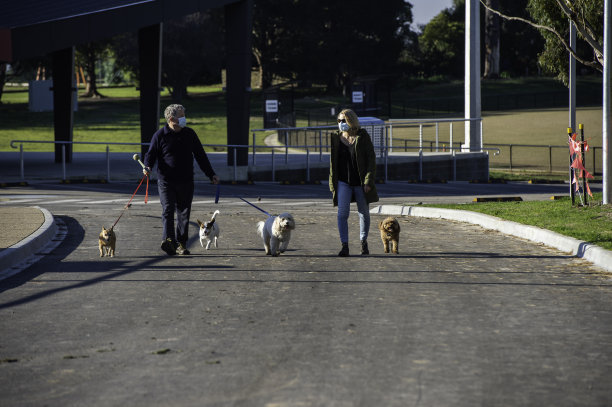 戴口罩遛狗的老年人图片下载